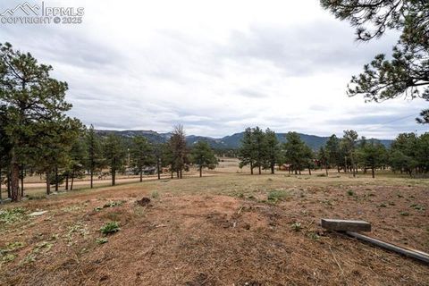 Tiny photo for 34 Fetlock Circle, Florissant, CO 80816 (MLS # 2445689)