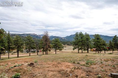 Tiny photo for 34 Fetlock Circle, Florissant, CO 80816 (MLS # 2445689)
