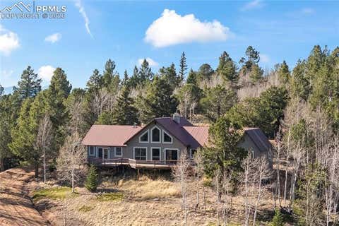 Tiny photo for 1008 Cantiberry Road, Divide, CO 80814 (MLS # 5601675)