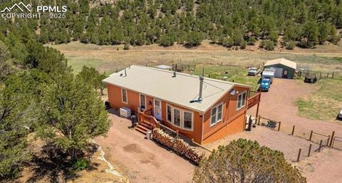 Tiny photo for 7878 County Road 28 Road, Cotopaxi, CO 81223 (MLS # 2590056)