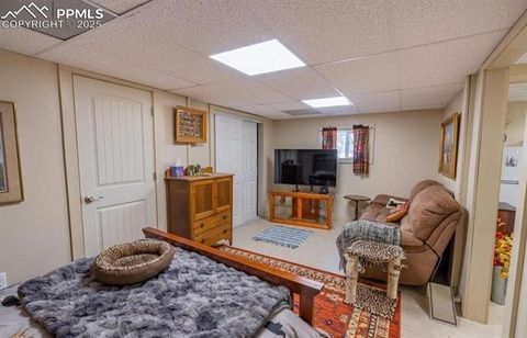 Tiny photo for 7878 County Road 28 Road, Cotopaxi, CO 81223 (MLS # 2590056)