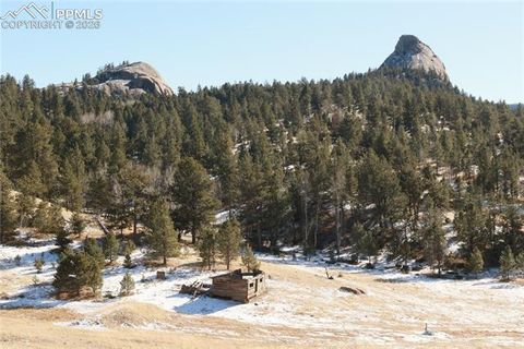 Photo of 409 Wind Dancer Circle, Florissant, CO 80816 (MLS # 9986309)
