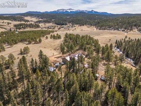 Tiny photo for 293 Daniwood Grove, Florissant, CO 80816 (MLS # 5138694)
