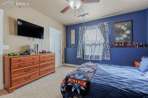 Tiny photo for 293 Daniwood Grove, Florissant, CO 80816 (MLS # 5138694)