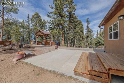 Tiny photo for 293 Daniwood Grove, Florissant, CO 80816 (MLS # 5138694)