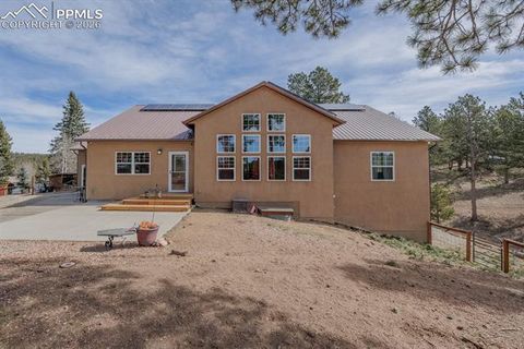 Tiny photo for 293 Daniwood Grove, Florissant, CO 80816 (MLS # 5138694)