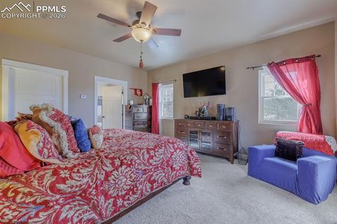 Tiny photo for 293 Daniwood Grove, Florissant, CO 80816 (MLS # 5138694)