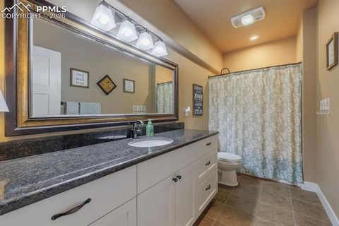 Tiny photo for 293 Daniwood Grove, Florissant, CO 80816 (MLS # 5138694)