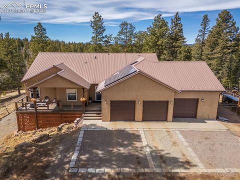 Photo of 293 Daniwood Grove, Florissant, CO 80816 (MLS # 5138694)