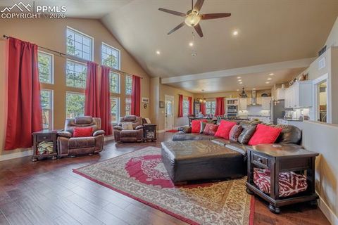 Tiny photo for 293 Daniwood Grove, Florissant, CO 80816 (MLS # 5138694)