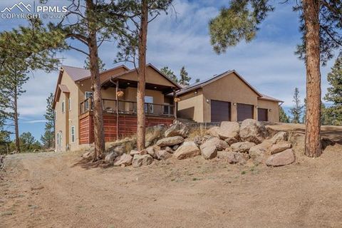 Tiny photo for 293 Daniwood Grove, Florissant, CO 80816 (MLS # 5138694)