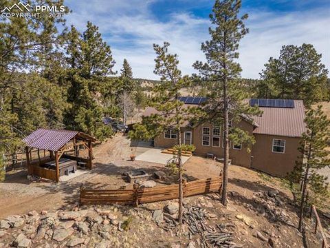 Tiny photo for 293 Daniwood Grove, Florissant, CO 80816 (MLS # 5138694)