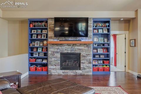 Tiny photo for 293 Daniwood Grove, Florissant, CO 80816 (MLS # 5138694)