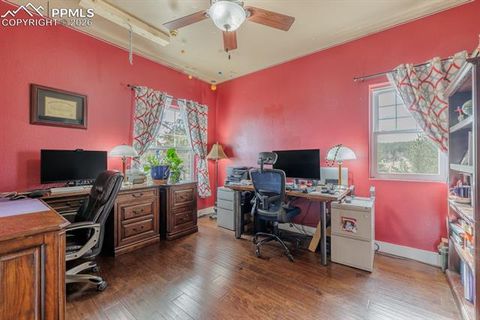 Tiny photo for 293 Daniwood Grove, Florissant, CO 80816 (MLS # 5138694)