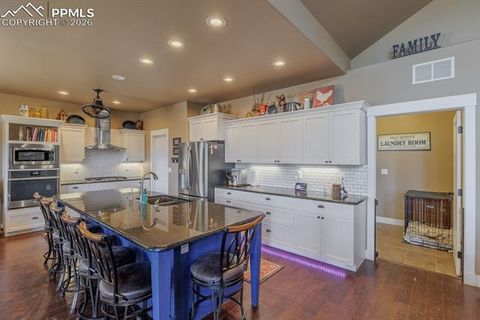 Tiny photo for 293 Daniwood Grove, Florissant, CO 80816 (MLS # 5138694)