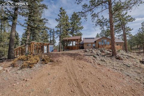 Tiny photo for 293 Daniwood Grove, Florissant, CO 80816 (MLS # 5138694)