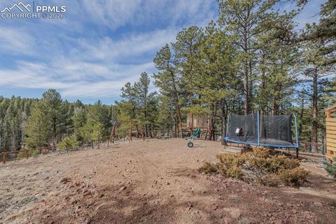 Tiny photo for 293 Daniwood Grove, Florissant, CO 80816 (MLS # 5138694)