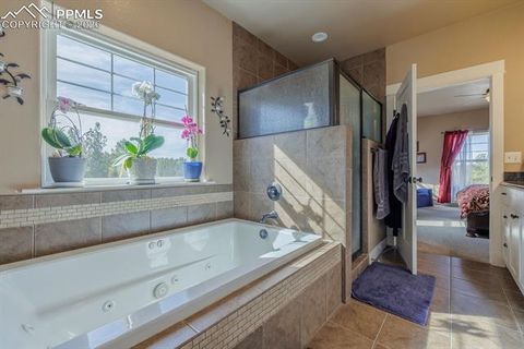 Tiny photo for 293 Daniwood Grove, Florissant, CO 80816 (MLS # 5138694)