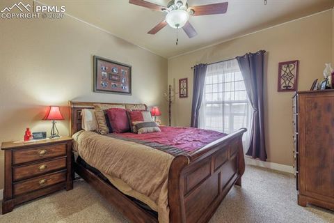 Tiny photo for 293 Daniwood Grove, Florissant, CO 80816 (MLS # 5138694)