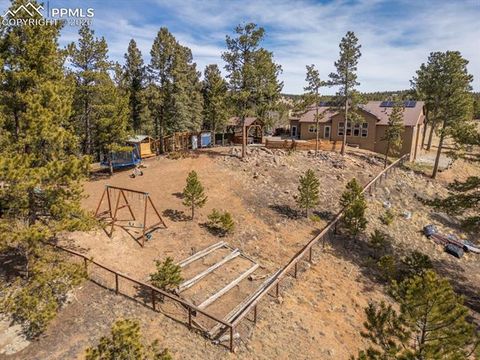 Tiny photo for 293 Daniwood Grove, Florissant, CO 80816 (MLS # 5138694)