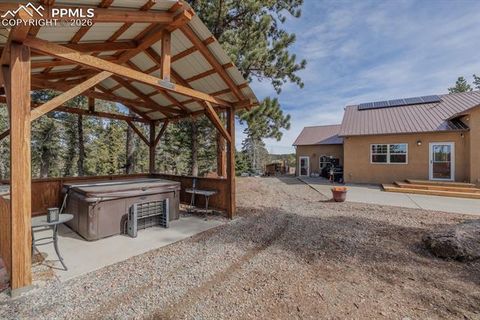 Tiny photo for 293 Daniwood Grove, Florissant, CO 80816 (MLS # 5138694)