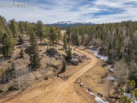 Tiny photo for 293 Daniwood Grove, Florissant, CO 80816 (MLS # 5138694)