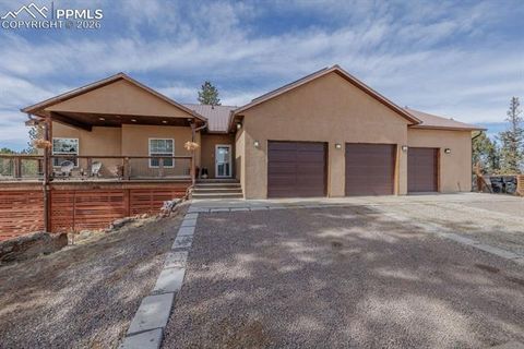 Tiny photo for 293 Daniwood Grove, Florissant, CO 80816 (MLS # 5138694)