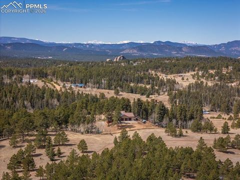 Tiny photo for 293 Daniwood Grove, Florissant, CO 80816 (MLS # 5138694)