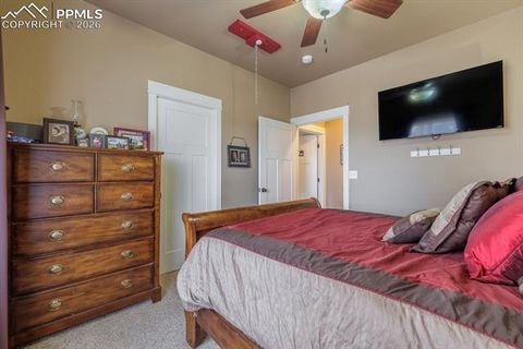 Tiny photo for 293 Daniwood Grove, Florissant, CO 80816 (MLS # 5138694)