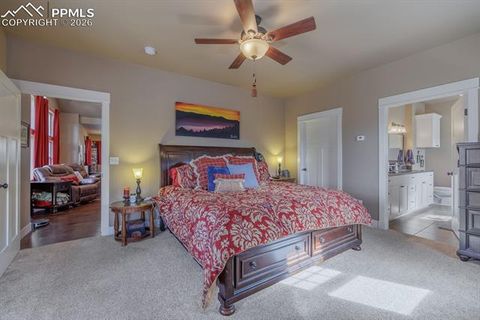 Tiny photo for 293 Daniwood Grove, Florissant, CO 80816 (MLS # 5138694)