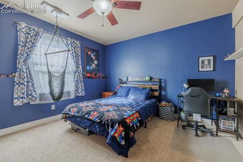 Tiny photo for 293 Daniwood Grove, Florissant, CO 80816 (MLS # 5138694)