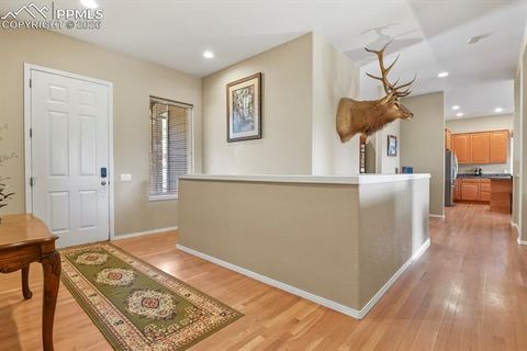 Tiny photo for 730 Tenderfoot Drive, Larkspur, CO 80118 (MLS # 6250749)