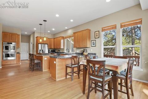 Tiny photo for 730 Tenderfoot Drive, Larkspur, CO 80118 (MLS # 6250749)