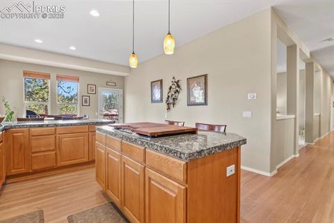 Tiny photo for 730 Tenderfoot Drive, Larkspur, CO 80118 (MLS # 6250749)
