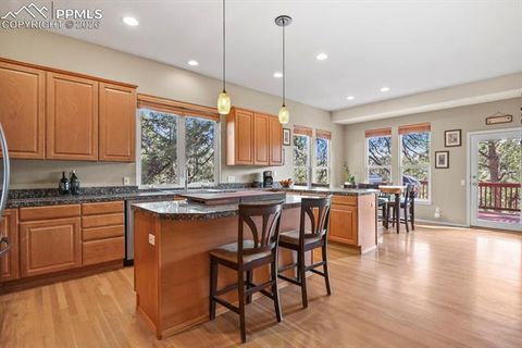 Tiny photo for 730 Tenderfoot Drive, Larkspur, CO 80118 (MLS # 6250749)