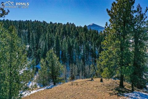 Photo of 456 Idlewild Drive, Cripple Creek, CO 80813 (MLS # 7459396)
