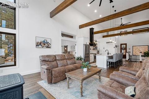 Tiny photo for 737 Creek Side Drive, Woodland Park, CO 80863 (MLS # 7309172)