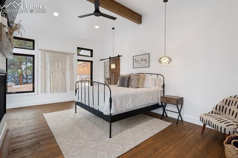 Tiny photo for 737 Creek Side Drive, Woodland Park, CO 80863 (MLS # 7309172)