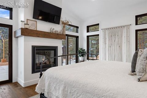 Tiny photo for 737 Creek Side Drive, Woodland Park, CO 80863 (MLS # 7309172)