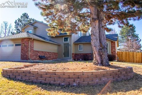 Photo of 3025 Commodore Drive, Colorado Springs, CO 80920 (MLS # 9770011)