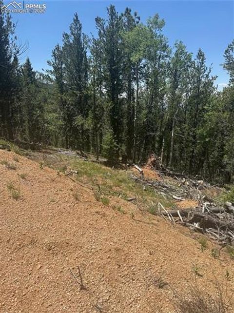 Photo of 110 Brown Bear Lane, Cripple Creek, CO 80816 (MLS # 6218956)