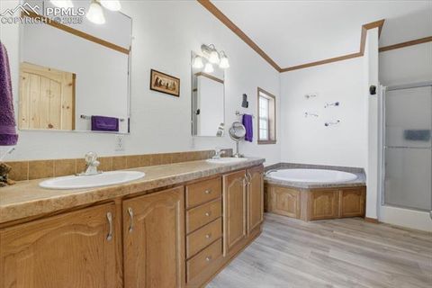 Tiny photo for 204 Crooked Creek Road, Fairplay, CO 80440 (MLS # 2382715)