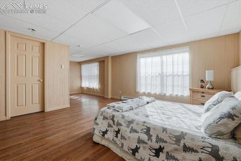 Tiny photo for 204 Crooked Creek Road, Fairplay, CO 80440 (MLS # 2382715)