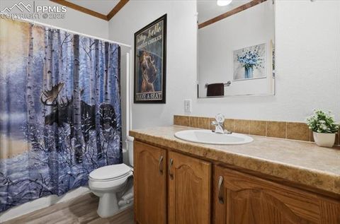 Tiny photo for 204 Crooked Creek Road, Fairplay, CO 80440 (MLS # 2382715)