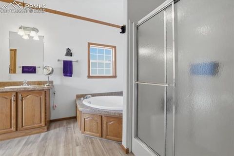 Tiny photo for 204 Crooked Creek Road, Fairplay, CO 80440 (MLS # 2382715)