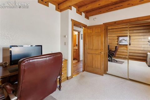 Tiny photo for 515 Valley View Drive, Florissant, CO 80816 (MLS # 6988526)