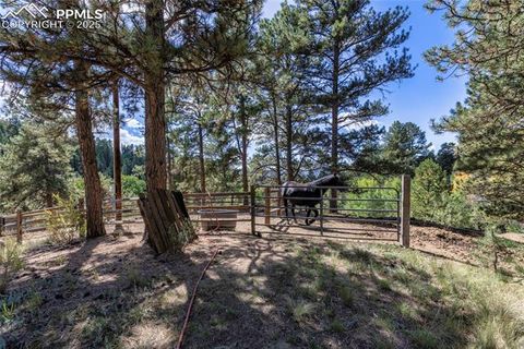Tiny photo for 515 Valley View Drive, Florissant, CO 80816 (MLS # 6988526)