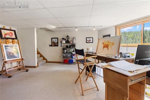 Tiny photo for 515 Valley View Drive, Florissant, CO 80816 (MLS # 6988526)