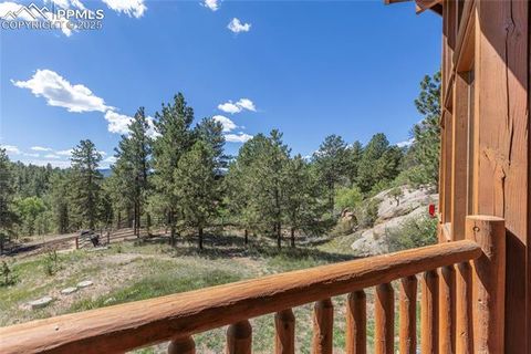 Tiny photo for 515 Valley View Drive, Florissant, CO 80816 (MLS # 6988526)