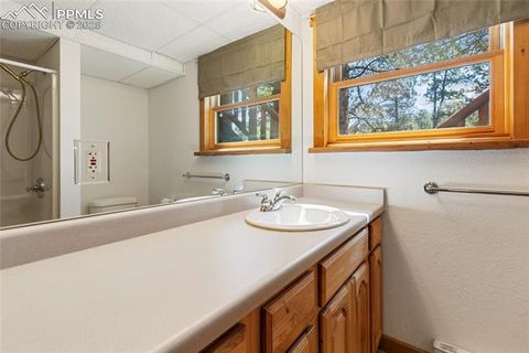 Tiny photo for 515 Valley View Drive, Florissant, CO 80816 (MLS # 6988526)